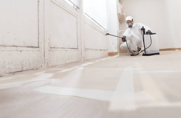 24/7 Emergency Mold Remediation experts in Long Beach, MD
